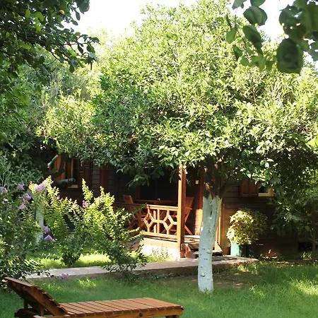 Otel Grand Aygun *